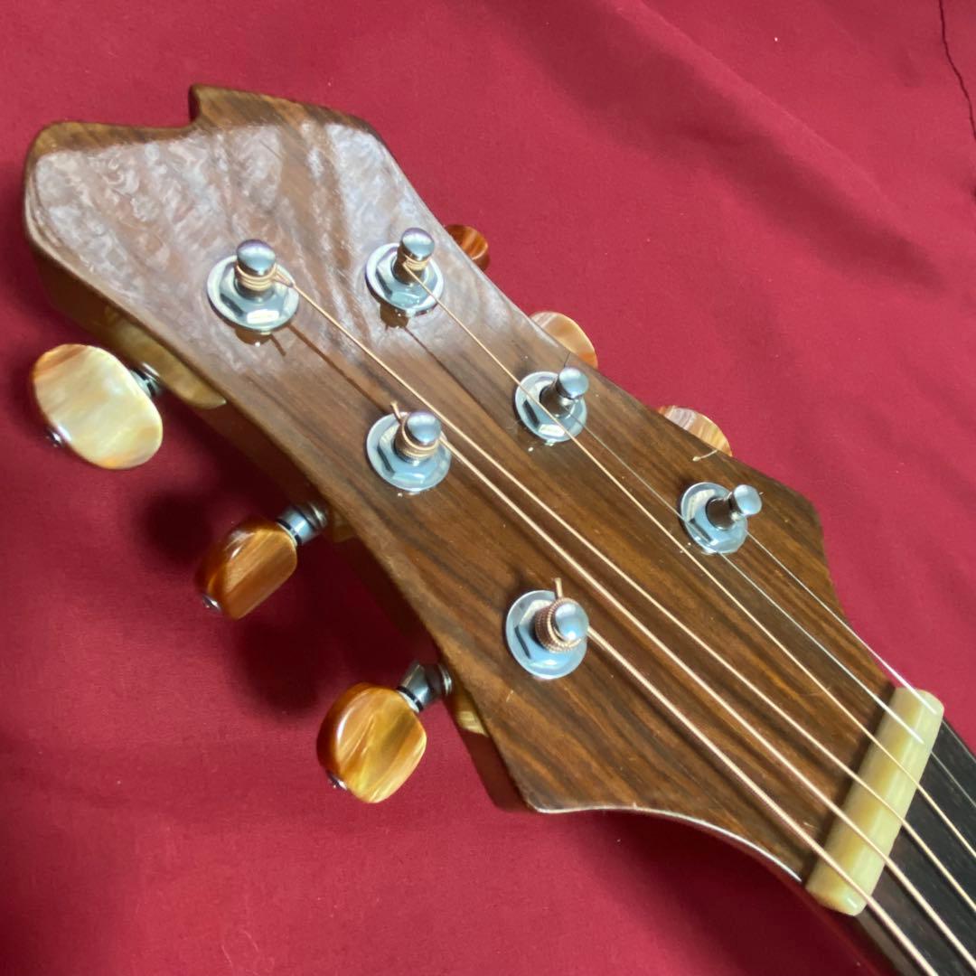 ギター ASTURIAS J-SPECIAL