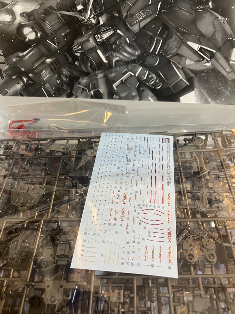 MG 1/100 プロヴィデンスガンダム スペシャルコーティングver