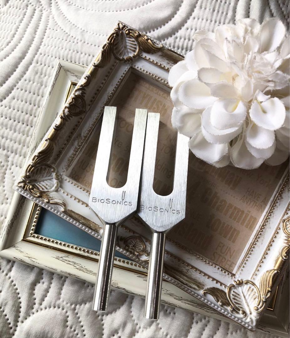 バイオソニック　スーパー倍音音叉　今あなたが必要な活動へ導く