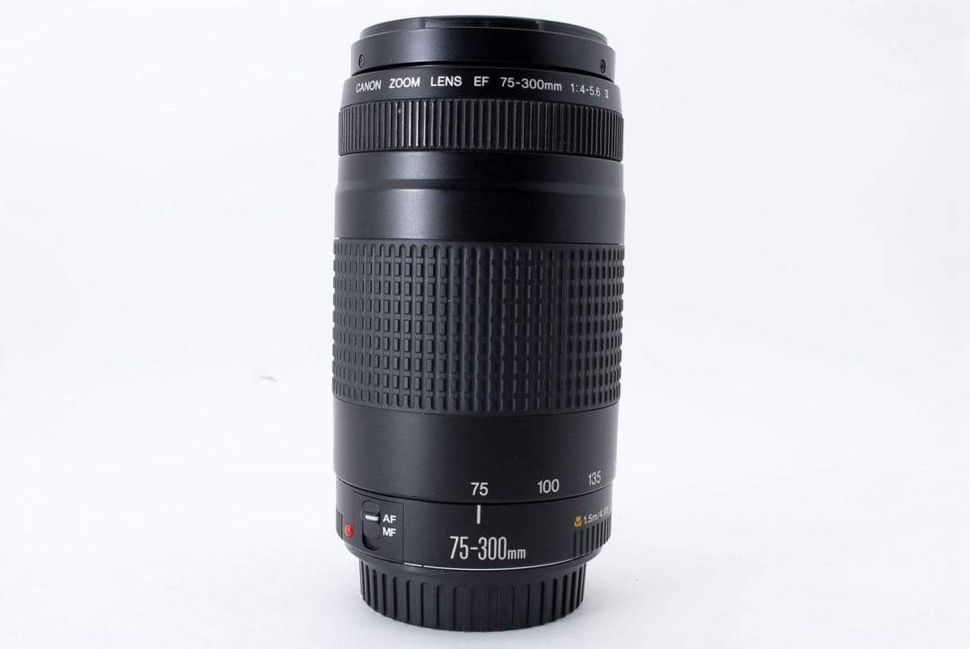 望遠レンズ/デジタル一眼レフカメラ/Canon EF75-300㎜