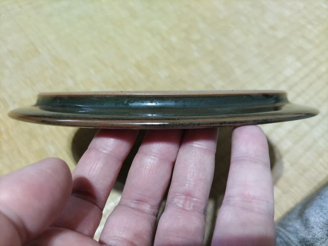 パチュリ様　李英才　平皿　径22.5cm　①＆②　２枚にて