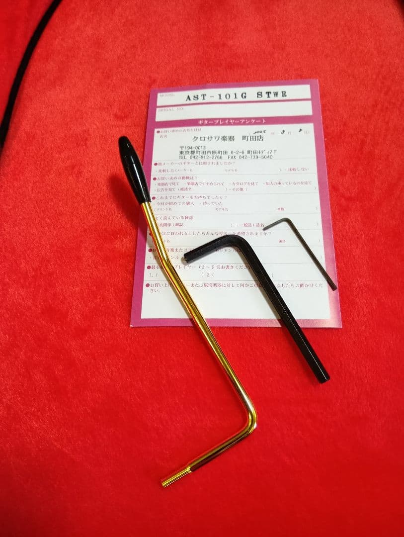 ギター AST-101G -See-Through White / STWR-