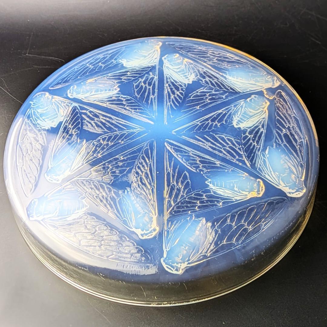 ラリックCigales 1921年セミ紋様26cm大蓋物 純正台座付　極希少