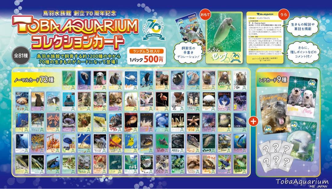 鳥羽水族館　コレカ　コンプリート　70周年記念　メイキラ　セレナ　チェキ風