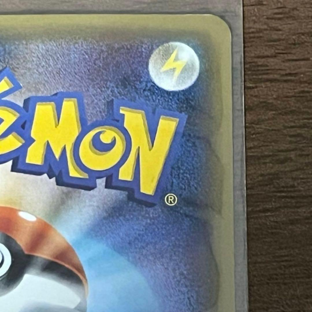 ポンチョを着たピカチュウ　黒　レックウザ