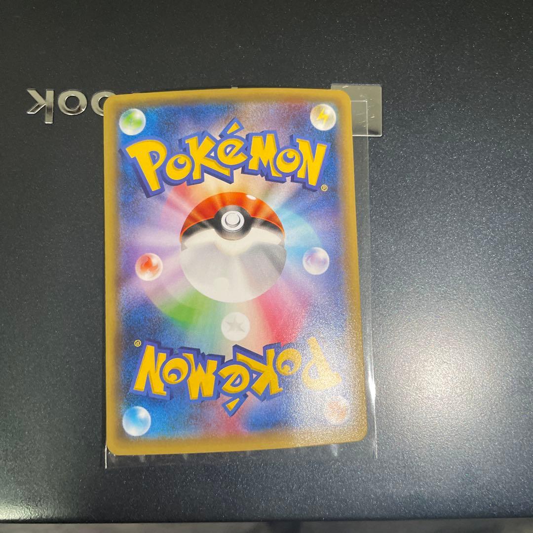 ポンチョを着たピカチュウ　黒　レックウザ