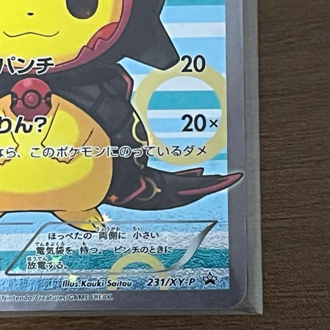 ポンチョを着たピカチュウ　黒　レックウザ