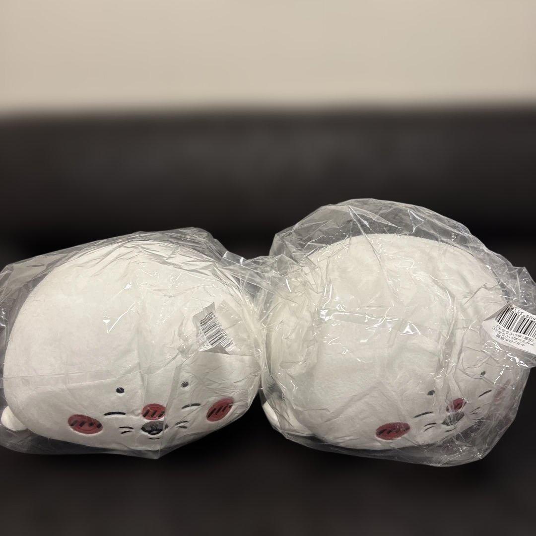 ほぼ未使用　140サイズぱんぱん　ナガノ　水族館　あざらし　カワウソ　D賞　シオ