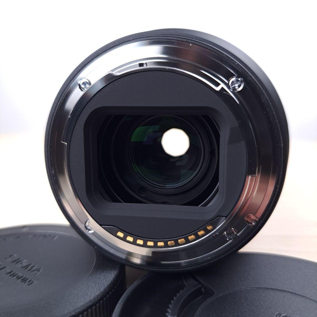 SIGMA 28-70mm F2.8 DG DN / SONY α Eマウント