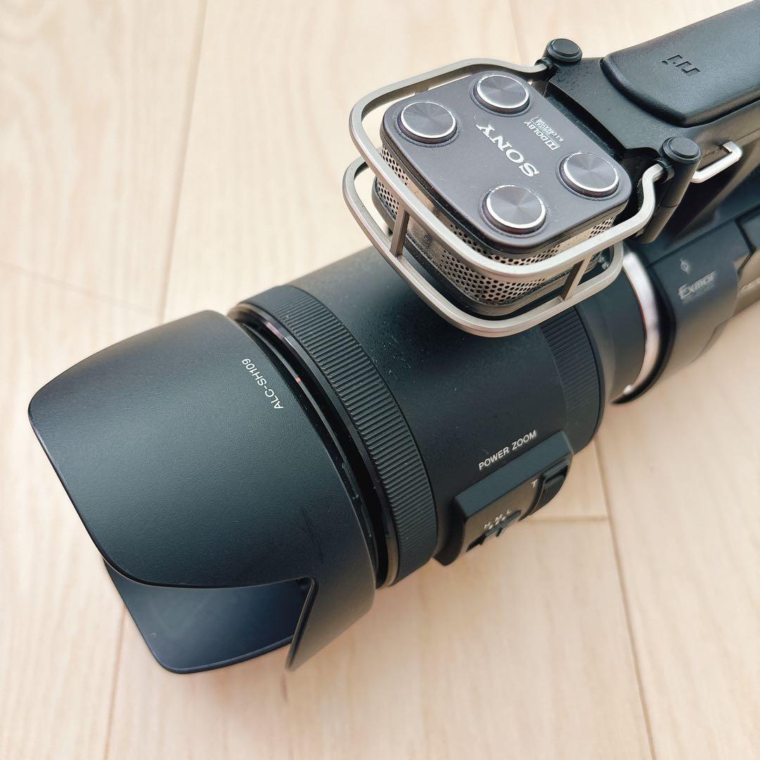 SONY ハンディカム NEX-VG30H