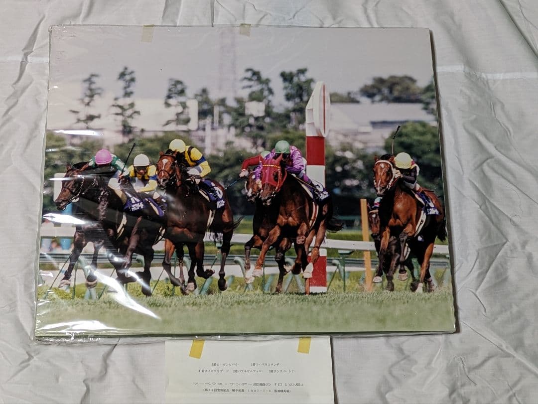 マーベラスサンデー　武豊　宝塚記念　 競走馬パネル　スポーツ新聞付き