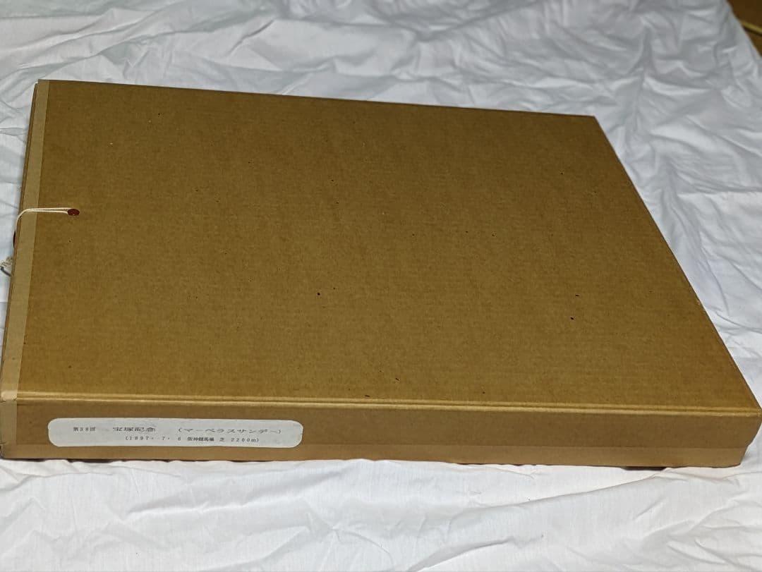 マーベラスサンデー　武豊　宝塚記念　 競走馬パネル　スポーツ新聞付き