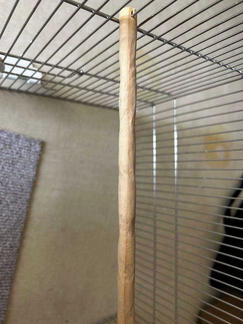 SANKO イージーホーム　ステンレス37 WH & 愛鳥セット