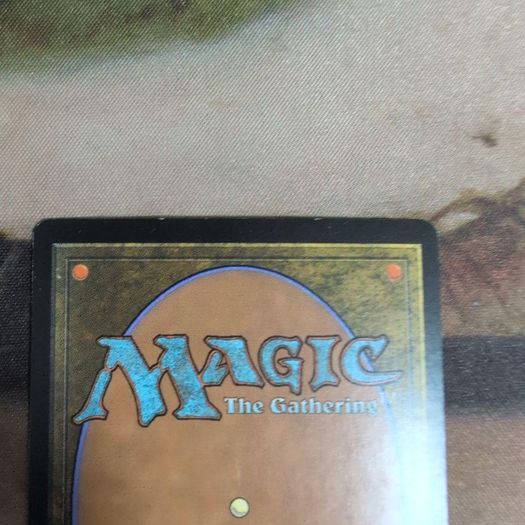 MTG フェアリーの忌み者/Faerie Macabre 初版　Foil