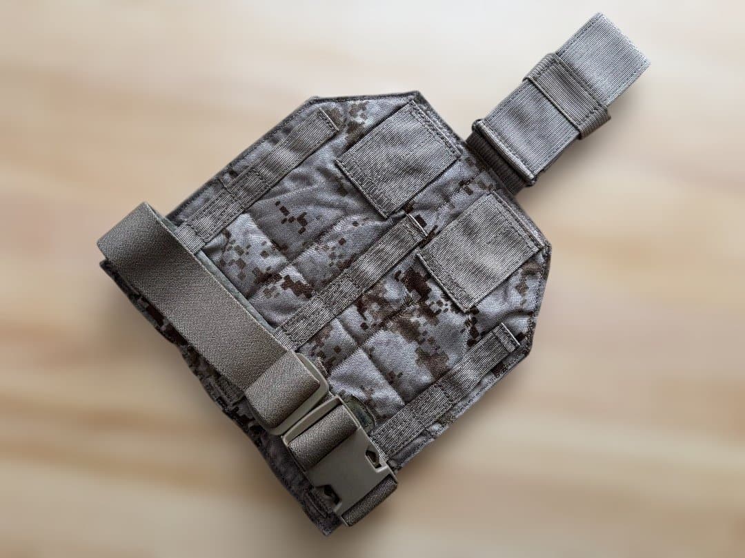 実物 EAGLE aor1 レッグパネル 01/07