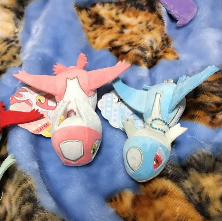 ラティアス ラティオス マスコット