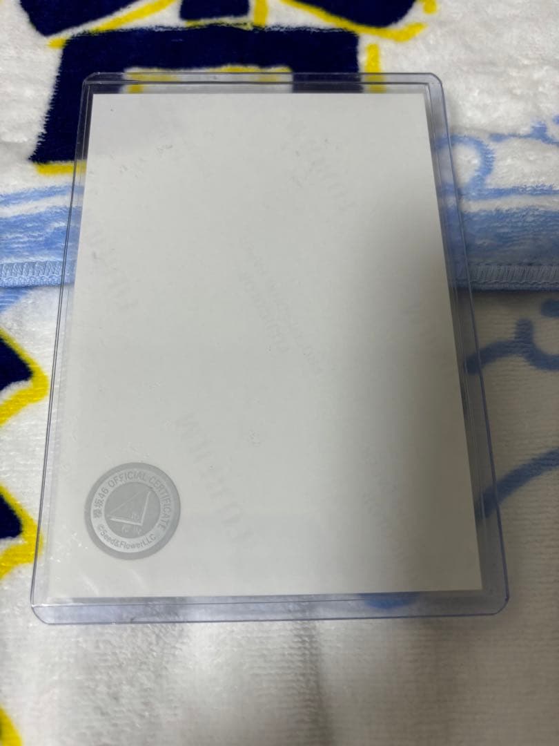 藤吉夏鈴 生写真 直筆サイン 浴衣 2024 座り 東京ドーム