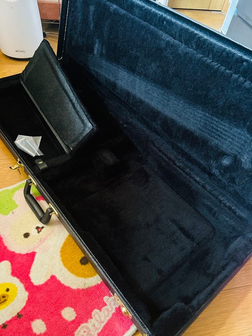 Schecter シェクター純正ハードケース（廃盤品）G&G製 ほぼ未使用