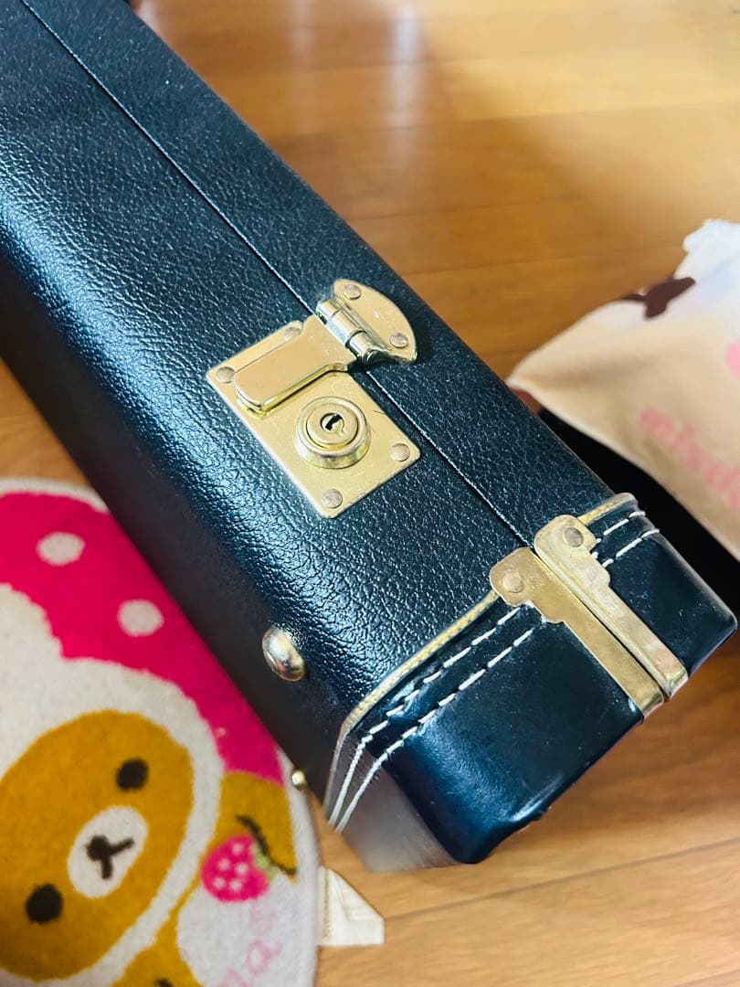 Schecter シェクター純正ハードケース（廃盤品）G&G製 ほぼ未使用