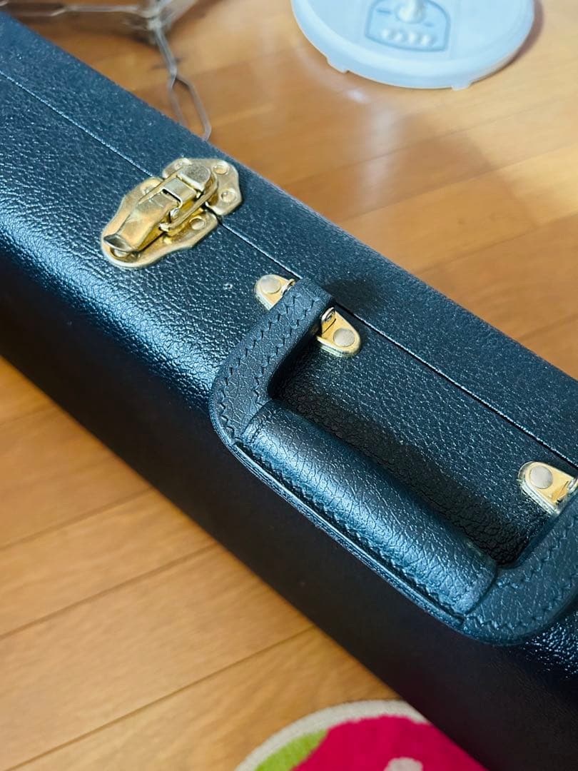 Schecter シェクター純正ハードケース（廃盤品）G&G製 ほぼ未使用