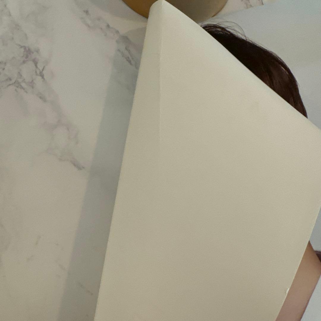 SEVENTEEN コンサート ポスター　ホシ