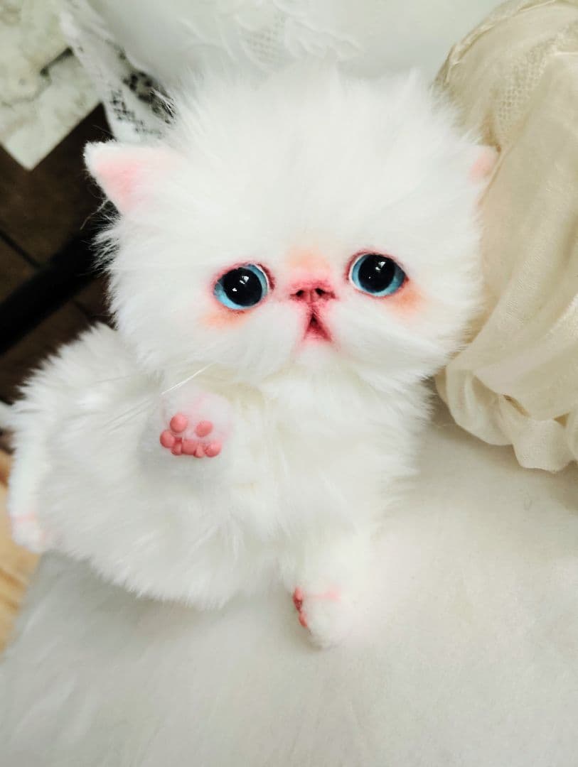 よちよち〜短足♡ころころボディ♡エキゾチック子猫ちゃん♡アートドール♡ぬいぐるみ