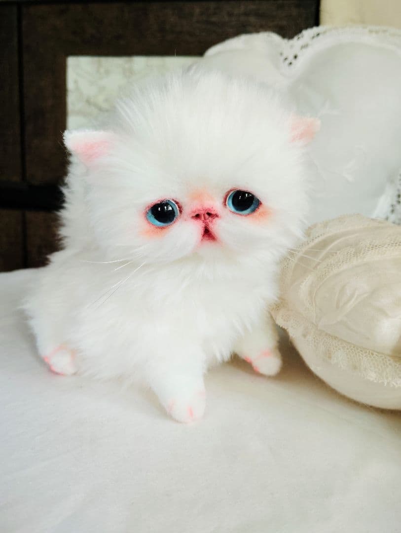 よちよち〜短足♡ころころボディ♡エキゾチック子猫ちゃん♡アートドール♡ぬいぐるみ