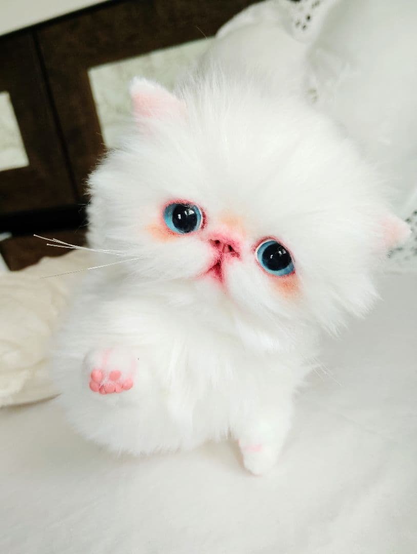 よちよち〜短足♡ころころボディ♡エキゾチック子猫ちゃん♡アートドール♡ぬいぐるみ