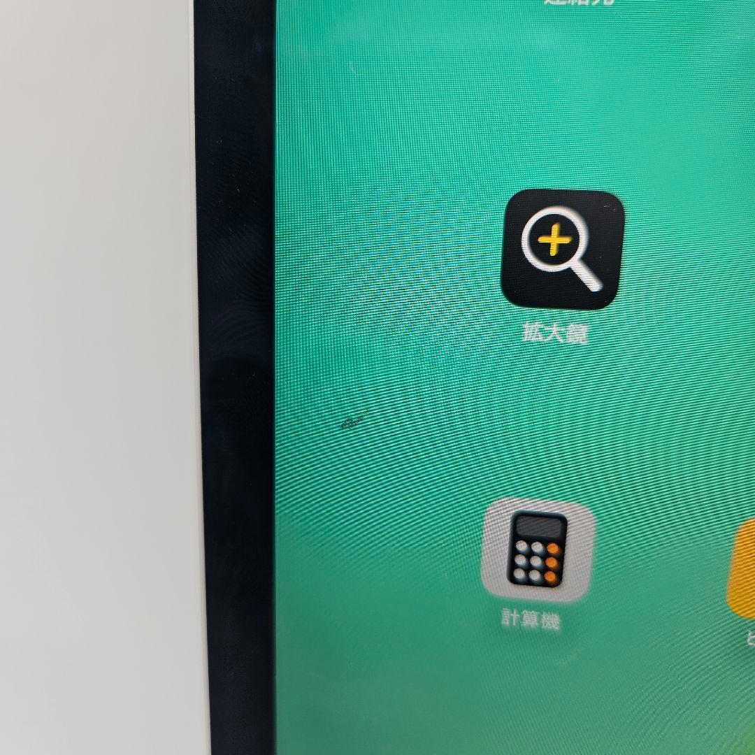 iPad Pro (11 インチ) 256 GB - Wifi Only