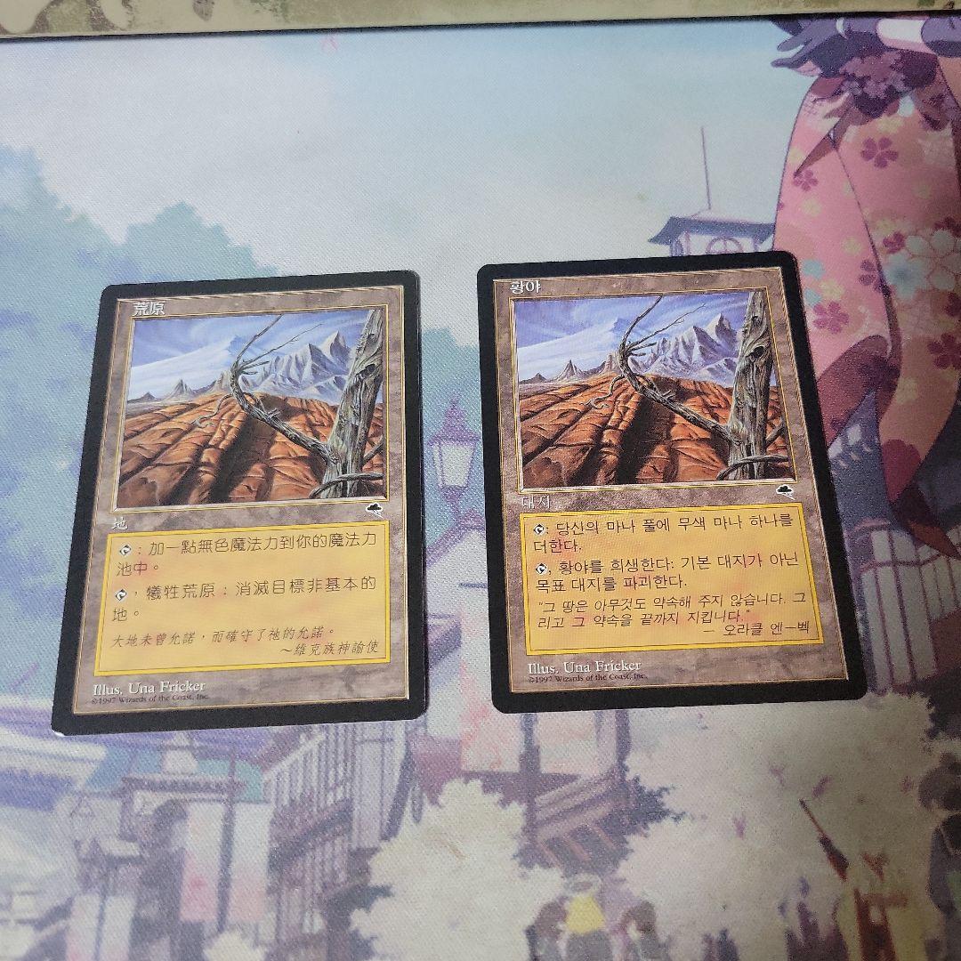 MTG 不毛の大地