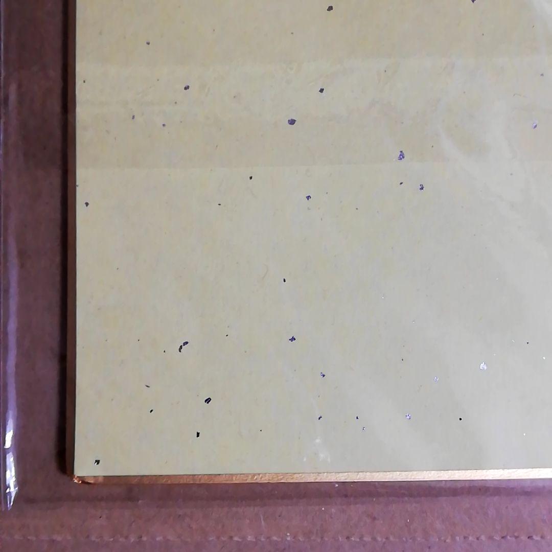 抽プレ　当選品　岸田メル　直筆サイン入り　ブルーリフレクション　白井日菜子　色紙