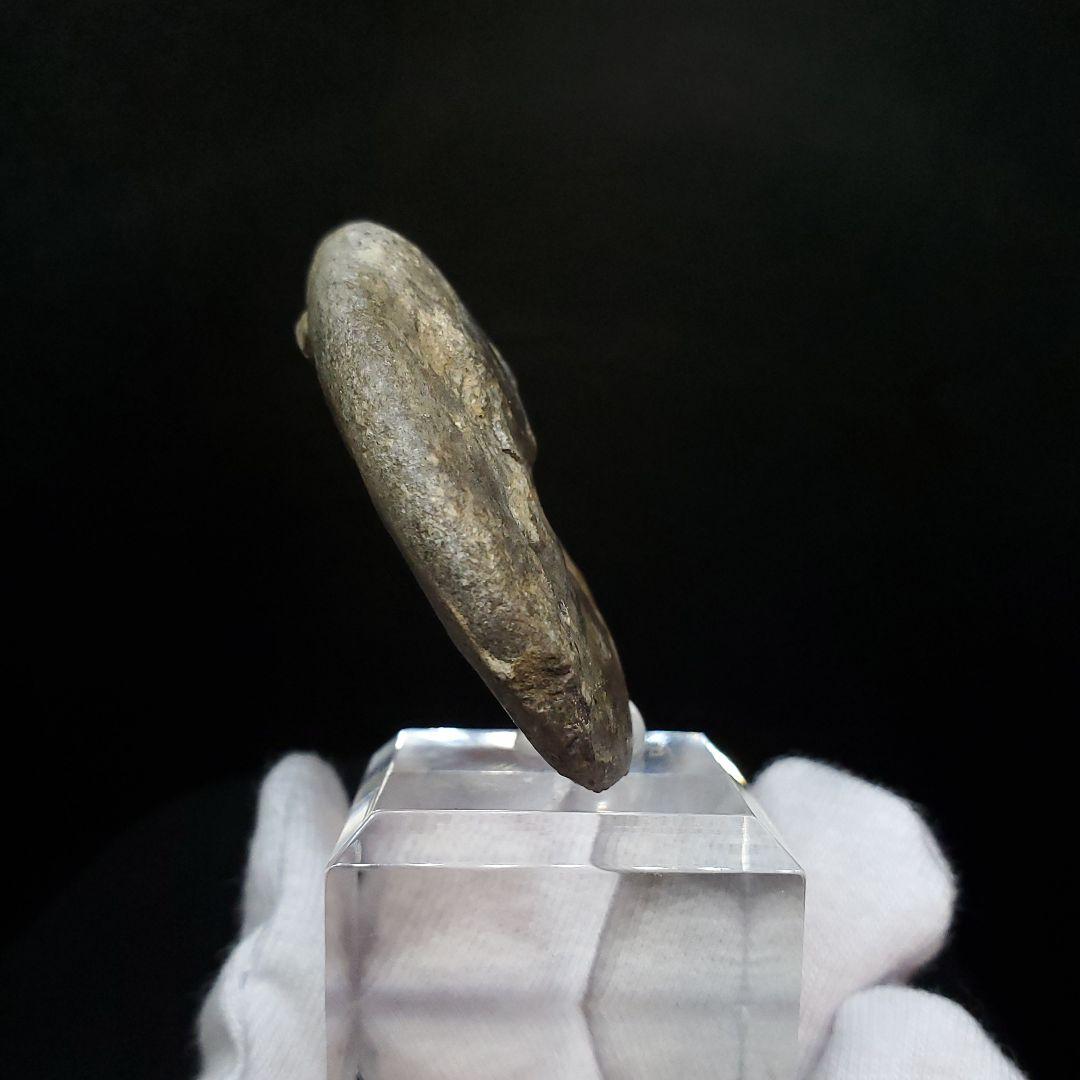 アンモナイト 三畳紀  本物 ノルウェー産 41.52mm 土台付き fan7