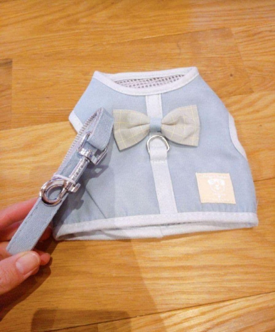 人気ブランド！Kisata リード 一体型 首輪 猫 犬  ハーネス  メッシュ