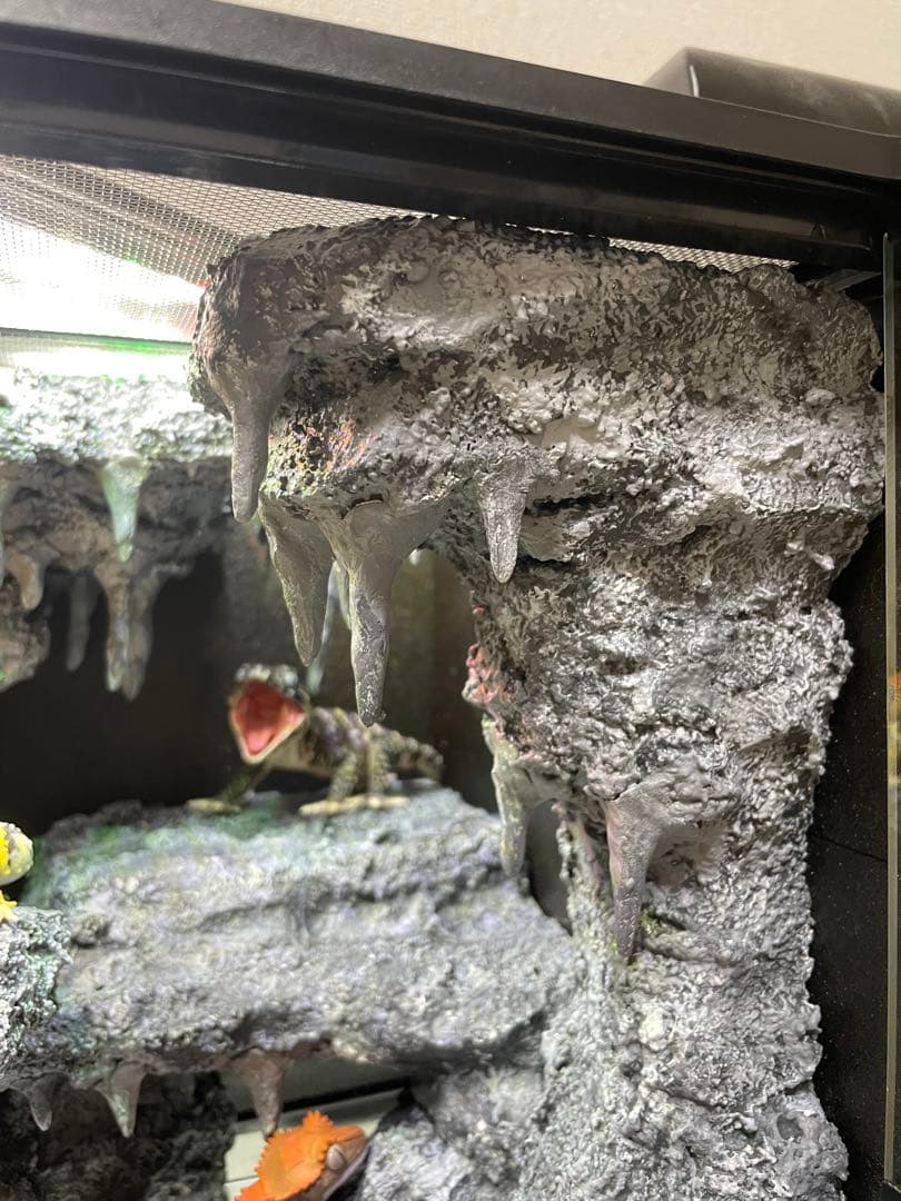 グラステラリウム　爬虫類レイアウト用品　爬虫類ケージ　爬虫類フルレイアウトケージ