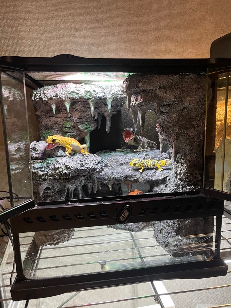 グラステラリウム　爬虫類レイアウト用品　爬虫類ケージ　爬虫類フルレイアウトケージ