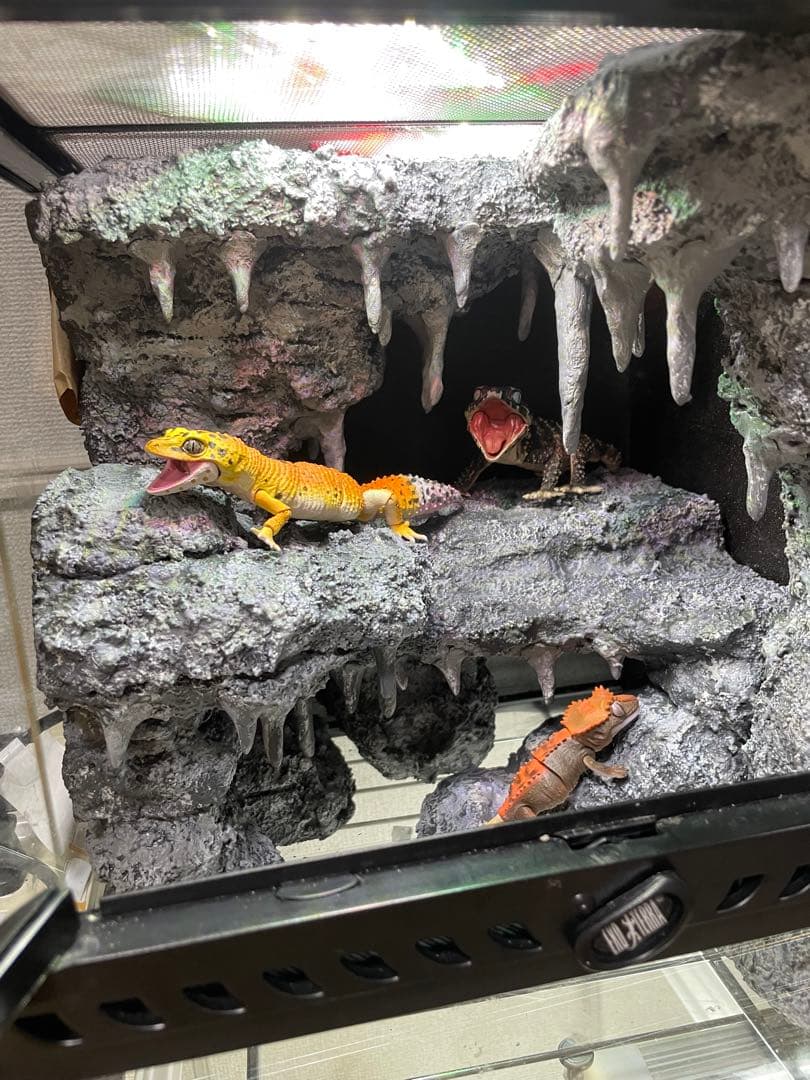 グラステラリウム　爬虫類レイアウト用品　爬虫類ケージ　爬虫類フルレイアウトケージ