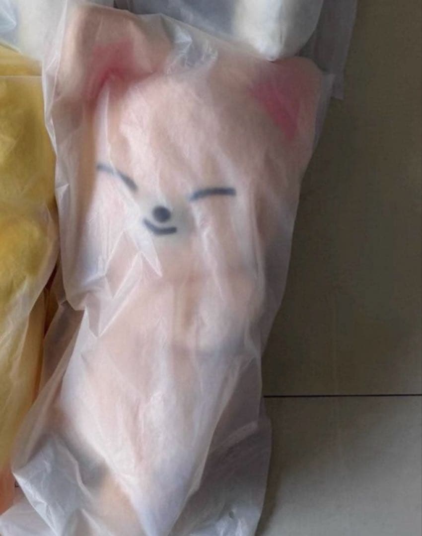 ぬいぐるみ straykids SKZOO PLUSH BAG FoxI.Ny