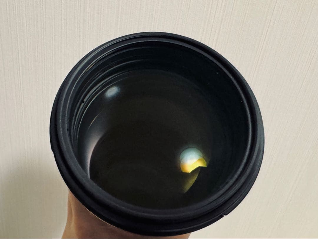 レンズ(単焦点) Nikon NIKKOR 300mm F4E PF ED VR