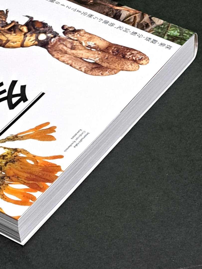 冬虫夏草生態図鑑 採集・観察・分類・同定、効能から歴史まで 240種類