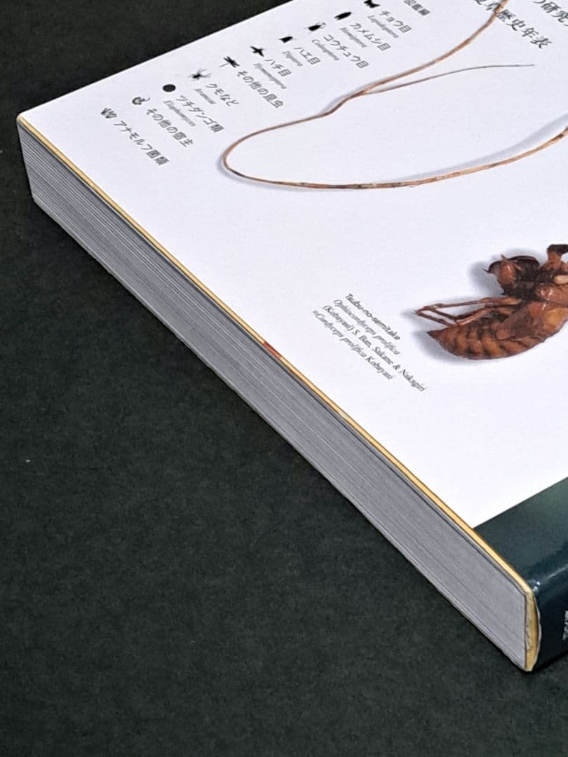 冬虫夏草生態図鑑 採集・観察・分類・同定、効能から歴史まで 240種類