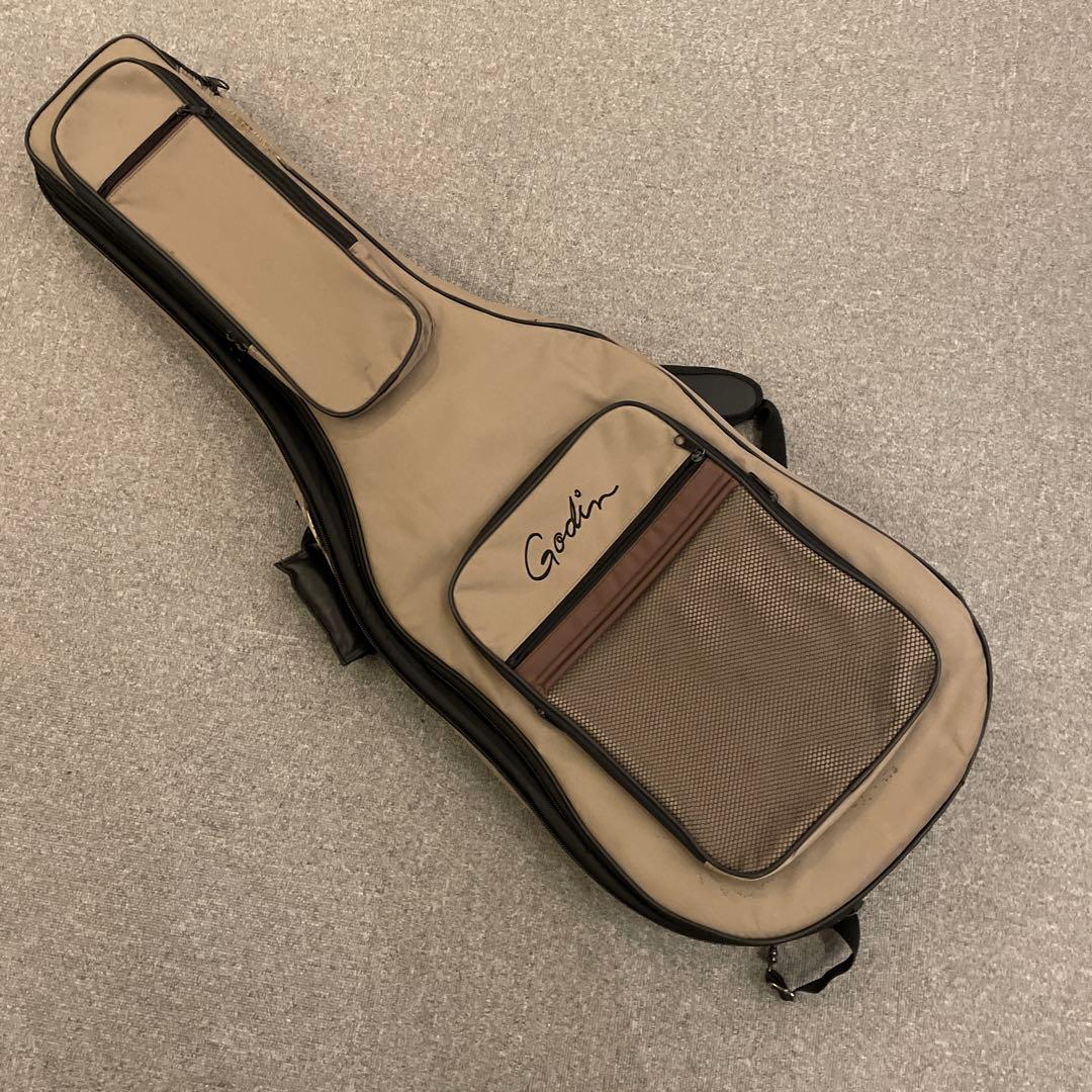 Godin xtSA Synth Access 送料込 ローランド ギターシンセ