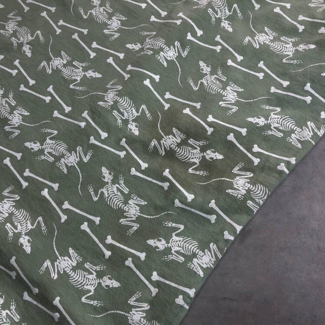 GQ1823◇POWELL PERALTA : 90's USA製 リザード