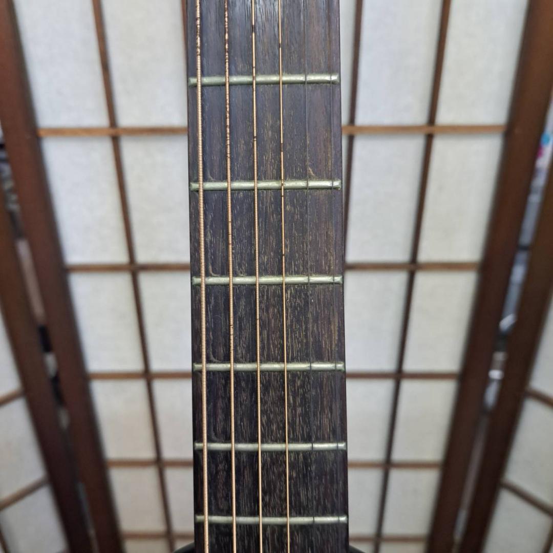 Takamine　NPT-012 BS　エレキアコースティックギター　タカミネ