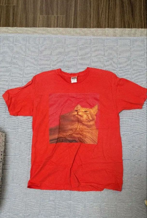 スピッツ SPITZ 30周年記念Tシャツ Lセット