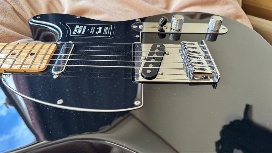 Dustcell ema使用　fender ギター BLACK