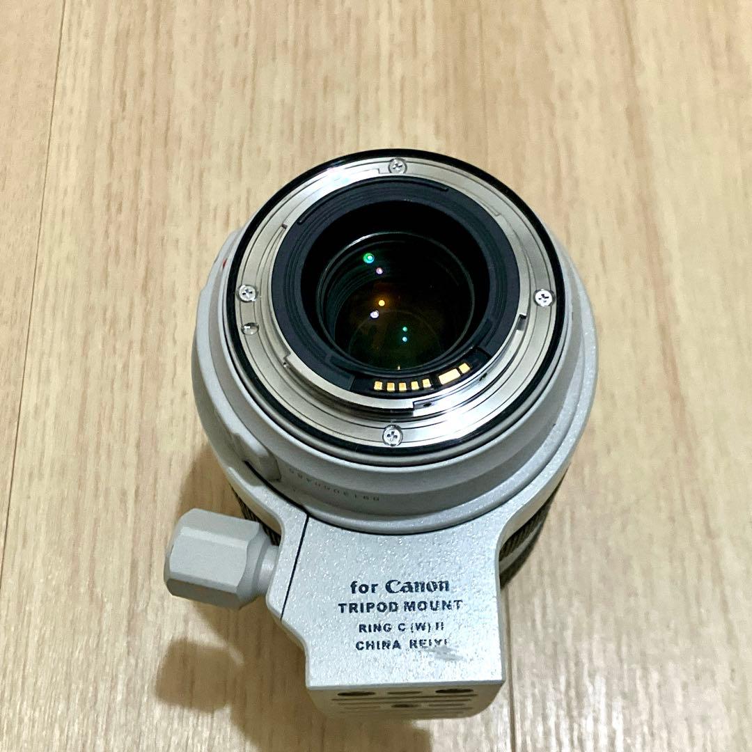 レンズ(ズーム) Canon EF 70-300mm f/4-5.6 IS USM