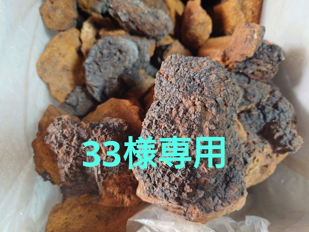 33カバノアナタケ3キロ