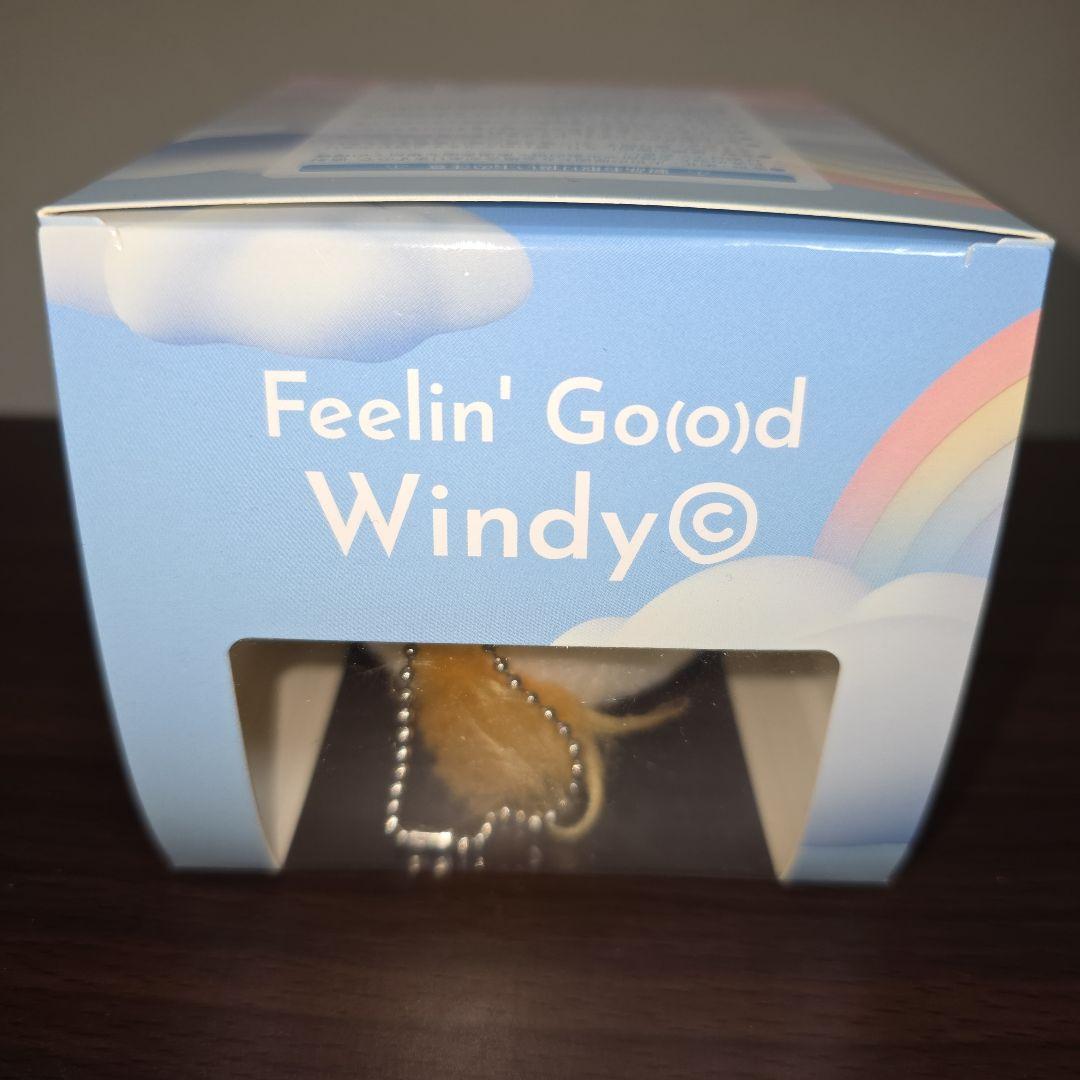 藤井風 Windy ウィンディちゃん