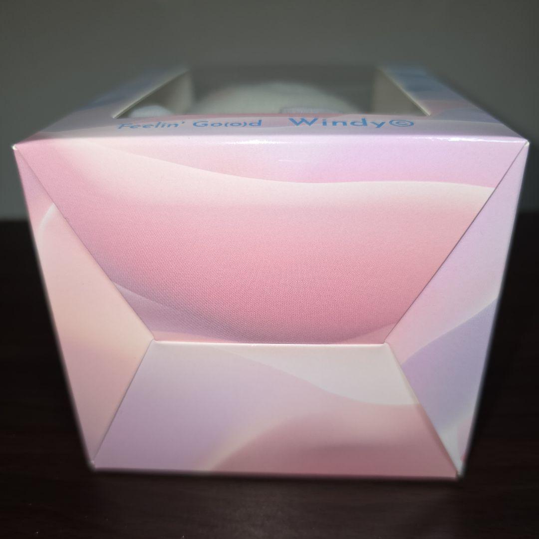 藤井風 Windy ウィンディちゃん