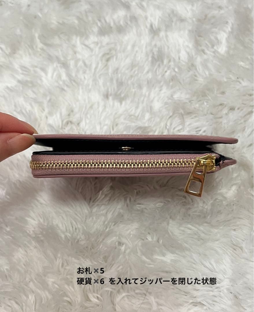 Loewe ロエベ 財布